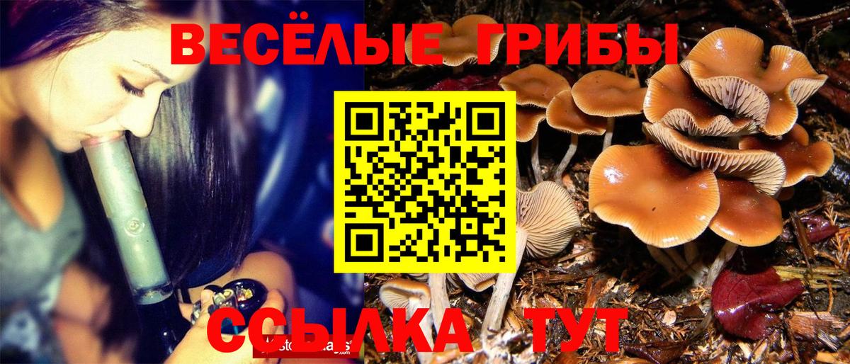 Псилоцибиновые грибы Cubensis Петропавловск-Камчатский