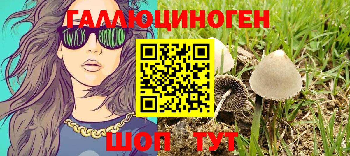Петропавловск-Камчатский  Псилоцибиновые грибы Psilocybe  Вход с VPN 